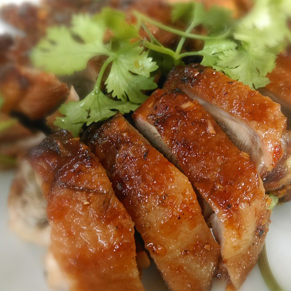 canard