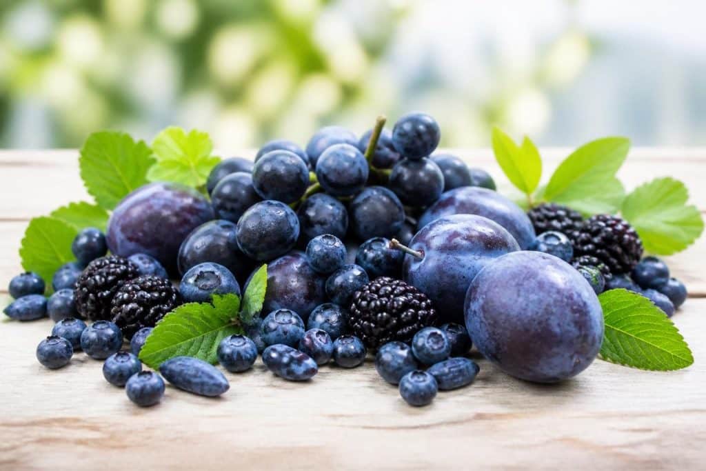 découvrez les bienfaits du fruit bleu et explorez les différentes variétés à connaître pour profiter de leurs saveurs et vertus santé.
