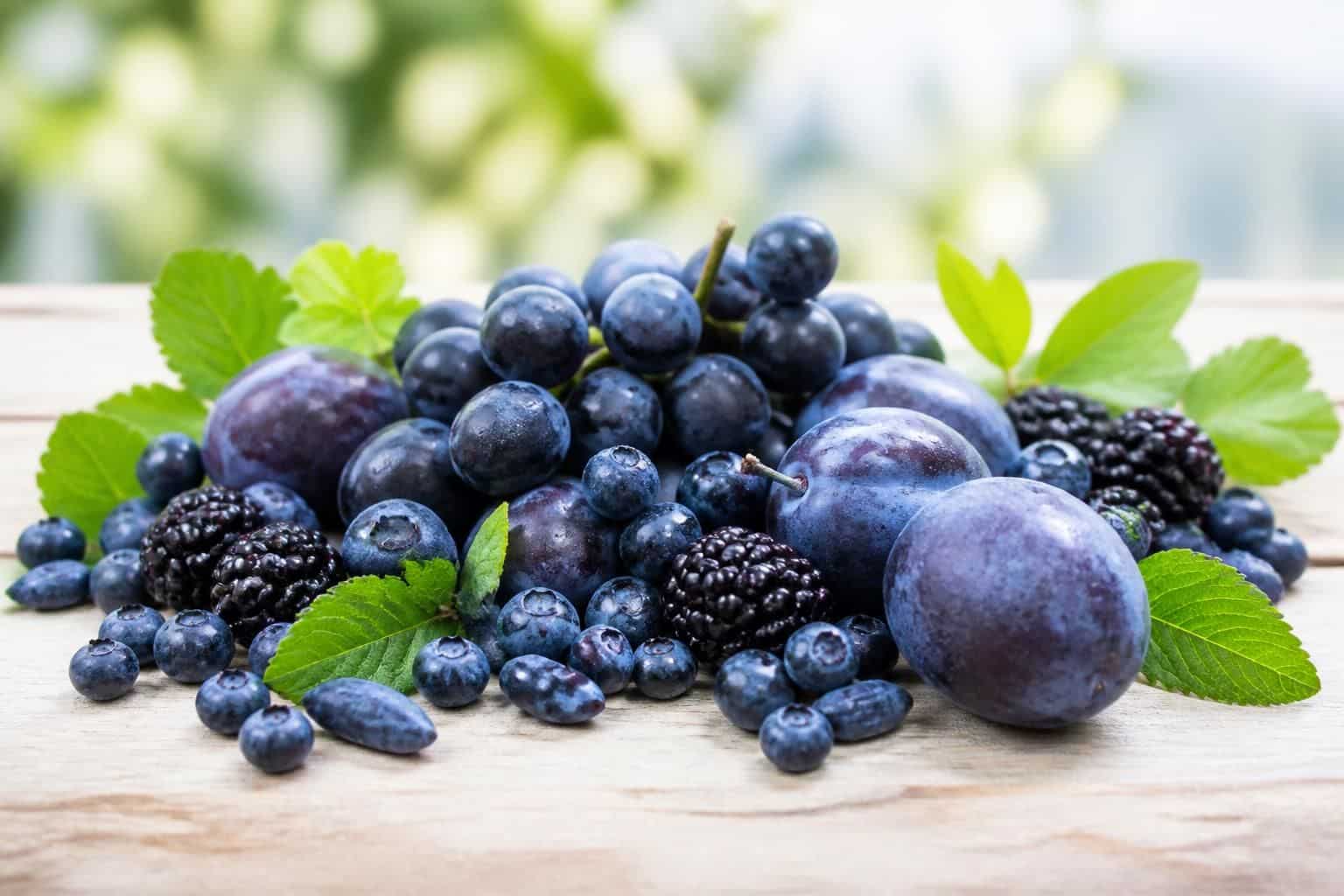 découvrez les bienfaits du fruit bleu et explorez les différentes variétés à connaître pour profiter de leurs saveurs et vertus santé.